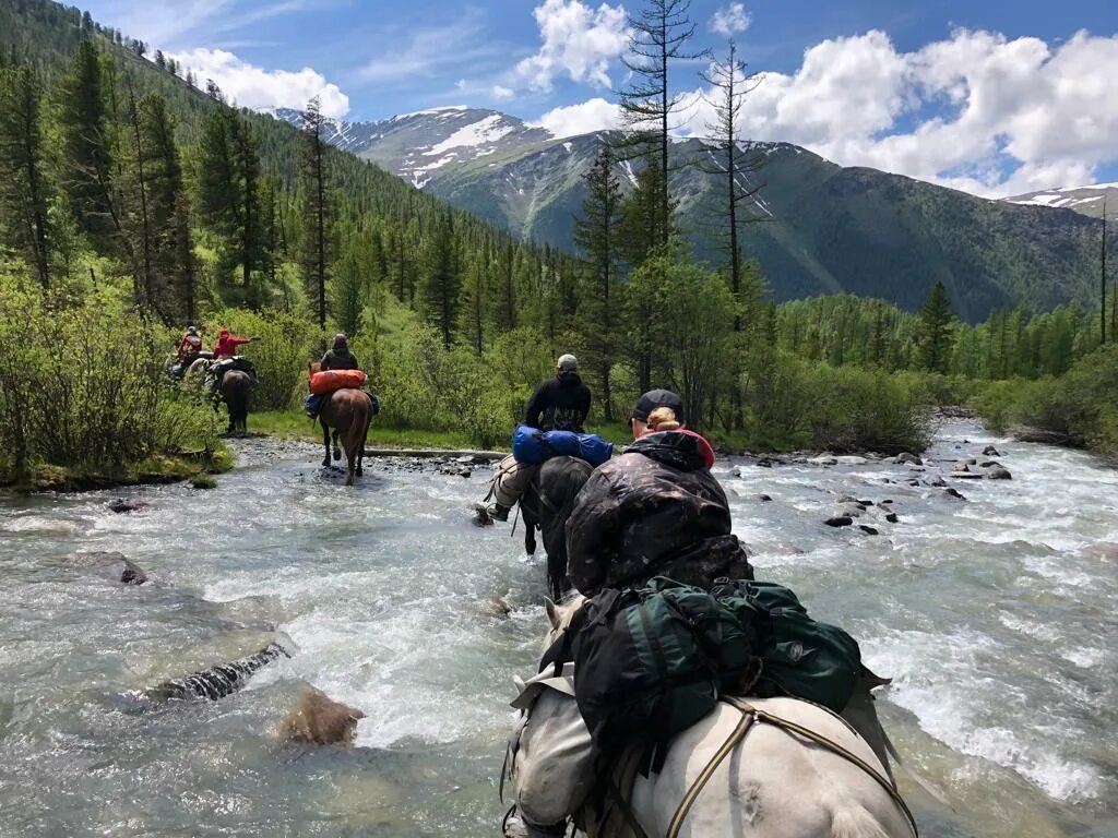 Foot of the mountains на русском. Ороктойская тропа Алтай. Ороктойская тропа к Белухе. Ороктойская тропа маршрут. Беловодье Алтай.