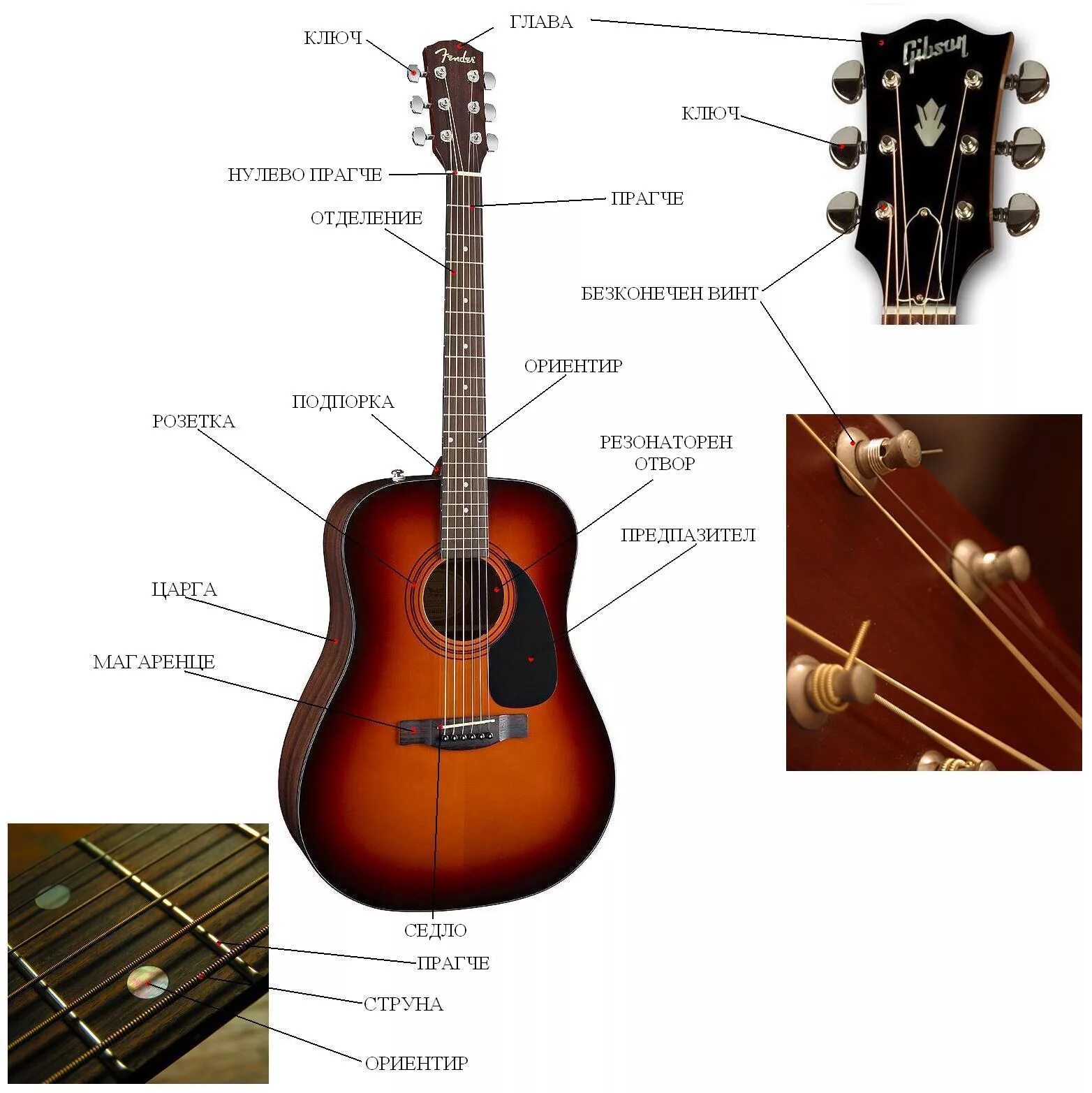 Строение гитары акустической 6 струнной. Строение гитары классической 6 струнной. Гитара строение гитары акустической. Строение электроакустической гитары.