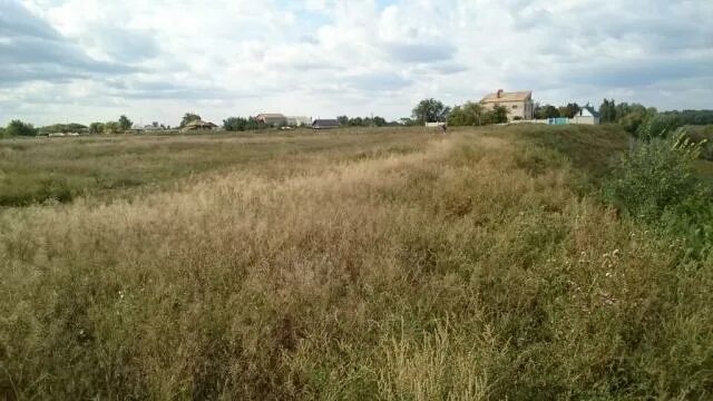 Усть караман энгельсский. Караман энгельсский район. Село усть караман саратовская область. Усть караман энгельсский. Усть караман.