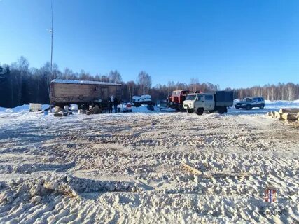 День тевриза омская область