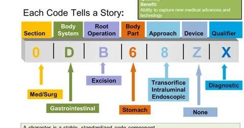 Icd 10