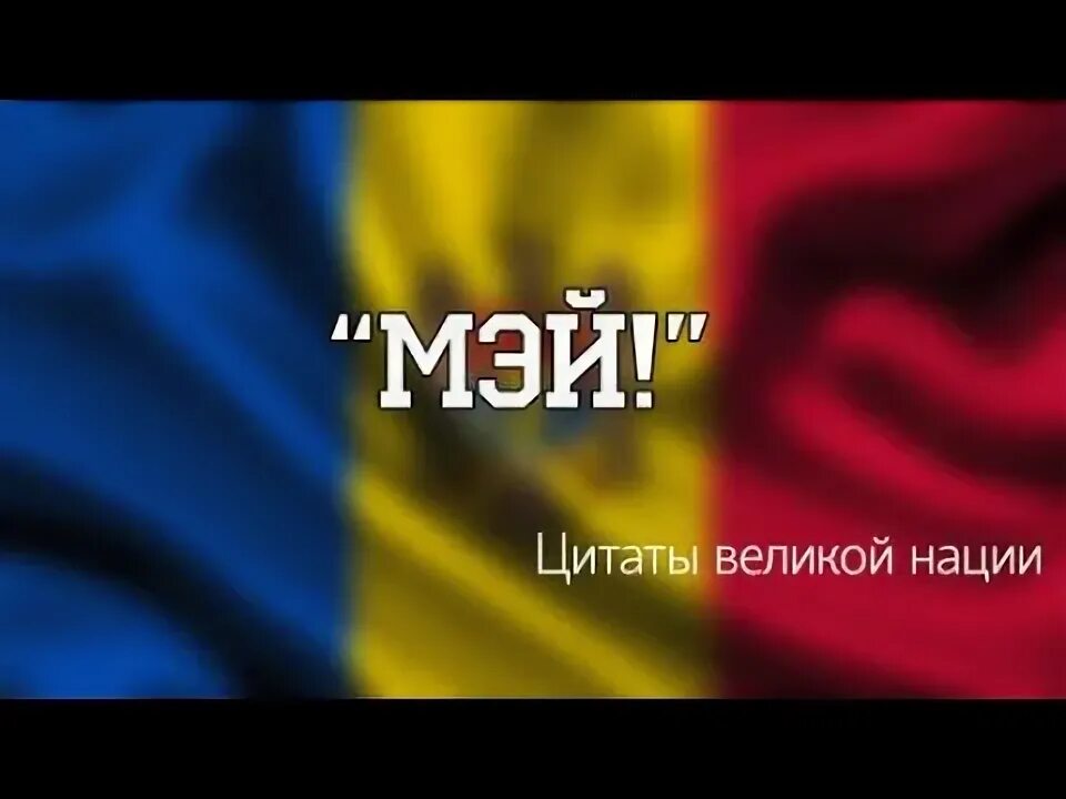 Песня мей кощей начало. Мэй молдова. Покемон мэй и макс. Shadow fight 2 мэй. Мэй текст.