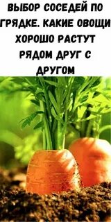 Ряды растут