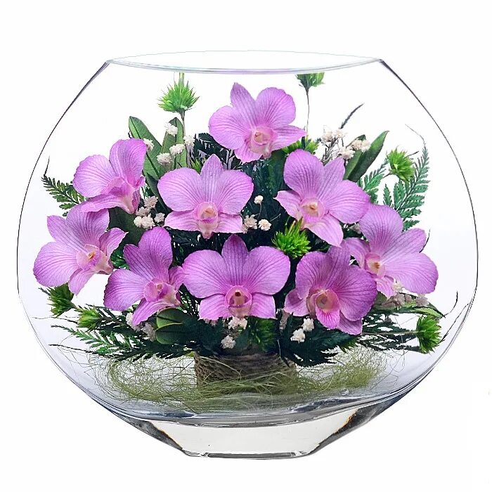 Доставка орхидей по россии. Орхидеи в вакууме Фиора. Natural Flower products цветы в стекле. Цветы в стекле ~ вакуум. Цветочная композиция в вакууме.