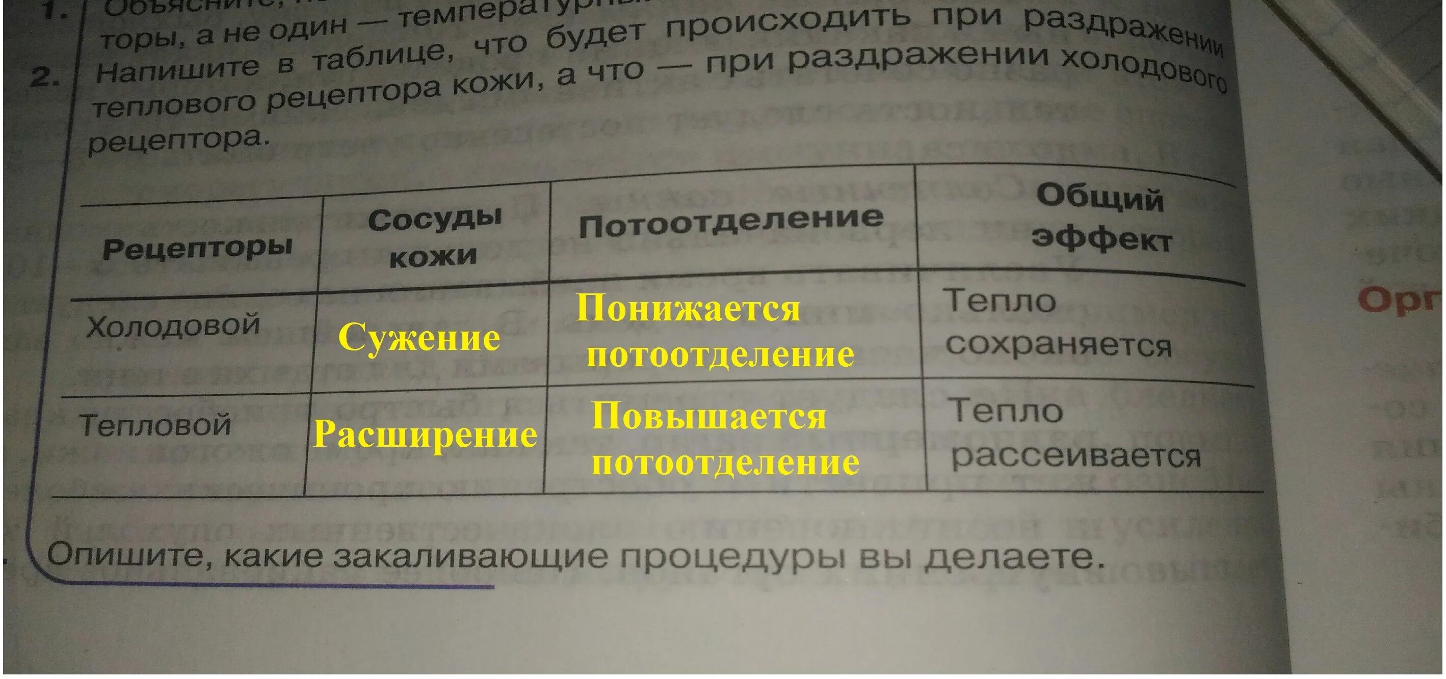 Что происходит при раздражении теплового рецептора кожи