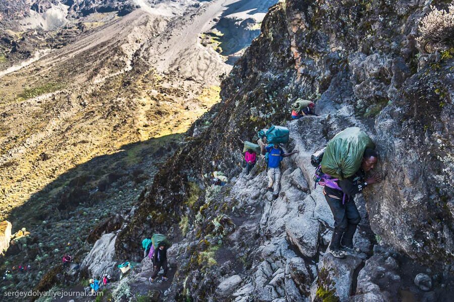 гид килиманджаро. килиманджаро восхождение. килиманджаро восхождение. килиманджаро восхождение. пик ухуру килиманджаро.