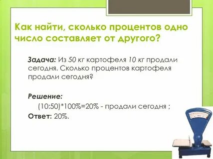 Сколько процентов составляет ели
