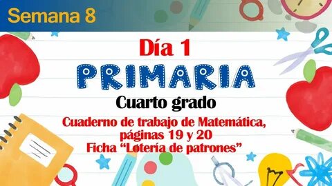 5 dias