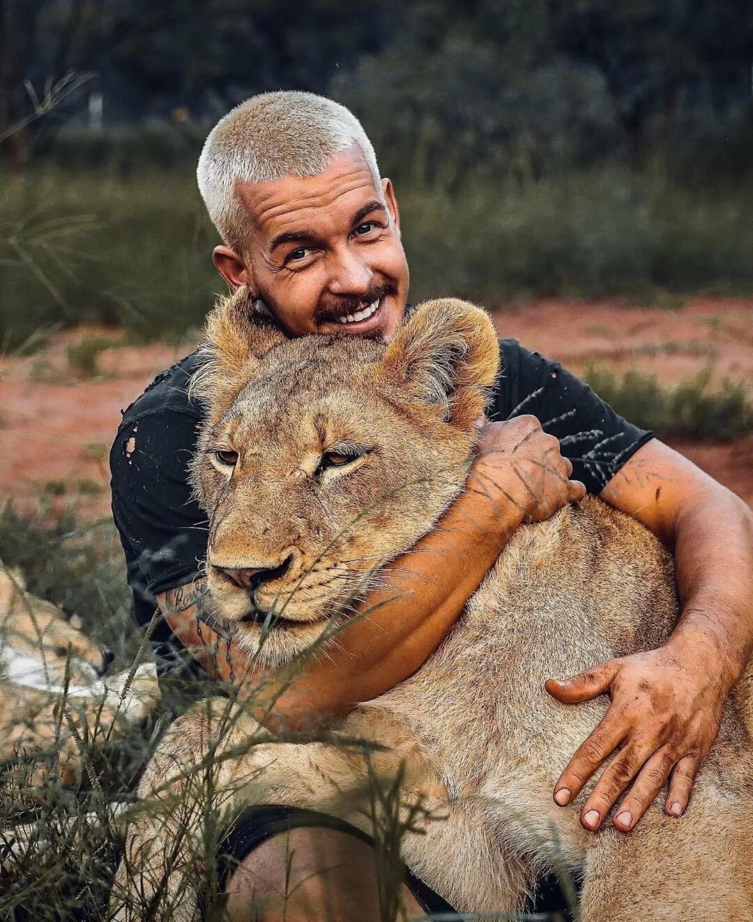 Тигр в саванне. Укротитель львов кевин ричардсон. Кевин ричардсон и львы. Кевин ричардсон заклинатель львов. Кевин ричардсон заклинатель зверей.