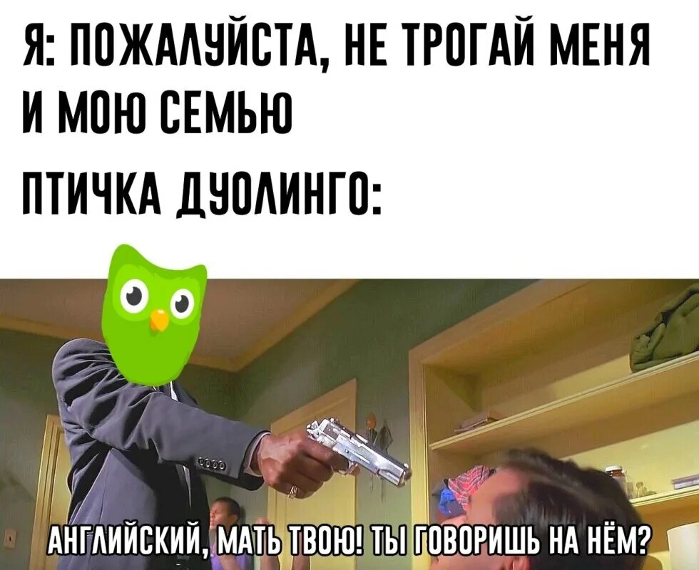 Сова дуолинго мем