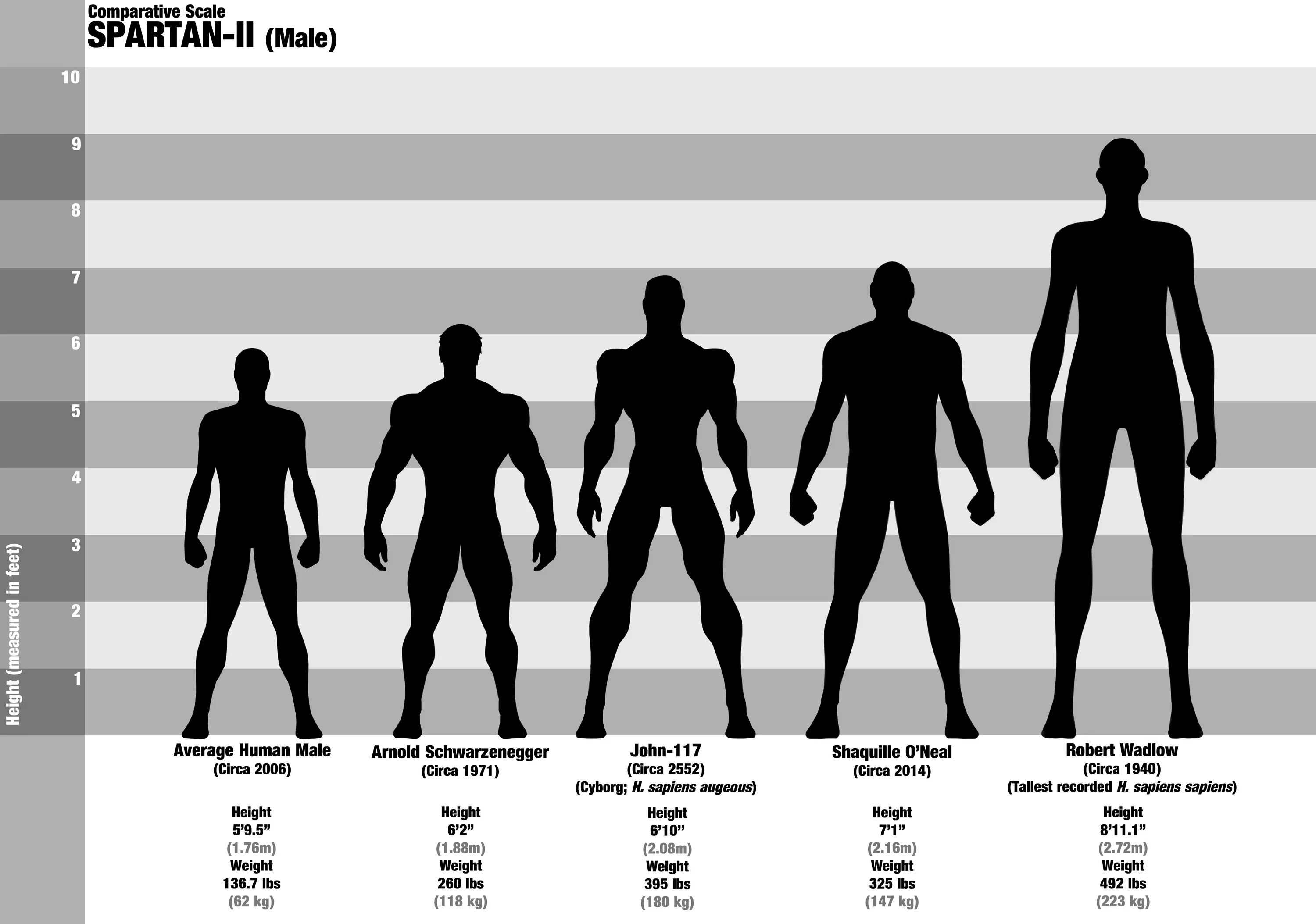 Height code. Высота спартанцев Halo. 117 Рост. Height and Weight Comparison.