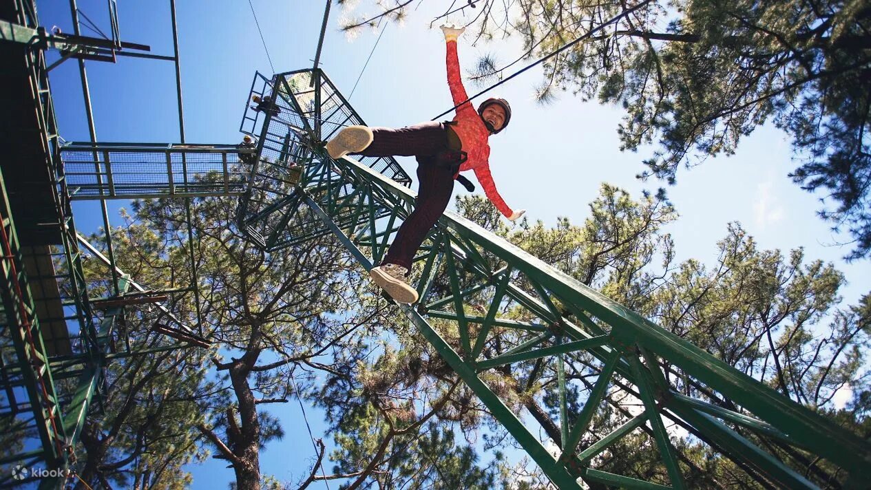 Top adventure. Tree Top Adventure Park Huahin. Treetops Adventure Канада. Tree Top walk в парке Макритчи. Thrill Rush 1 вагонетки.