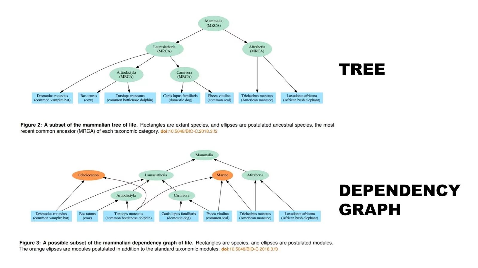 User dependencies