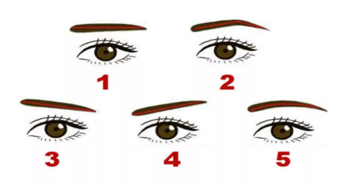 вариации формы бровей. характер человека по форме бровей. характер человека по форме бровей. форма бровей изогнутые. прямая форма бровей с изломом.