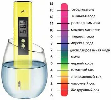 Уровень кислотности организма