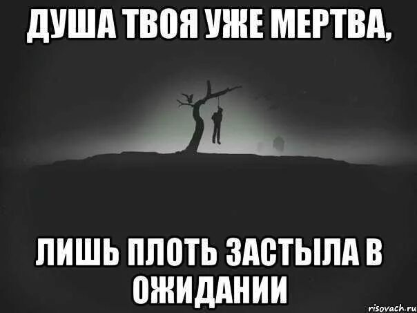 Родни хоть шаром покати нигде никого. Сучьи статусы. Душа твоя уже мертва. Цитаты для убитых изнутри.