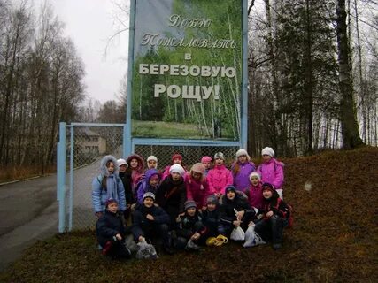 Дол березовая роща