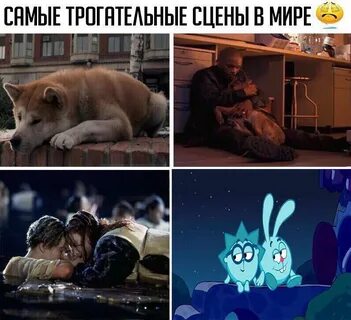 Трогательные сцены