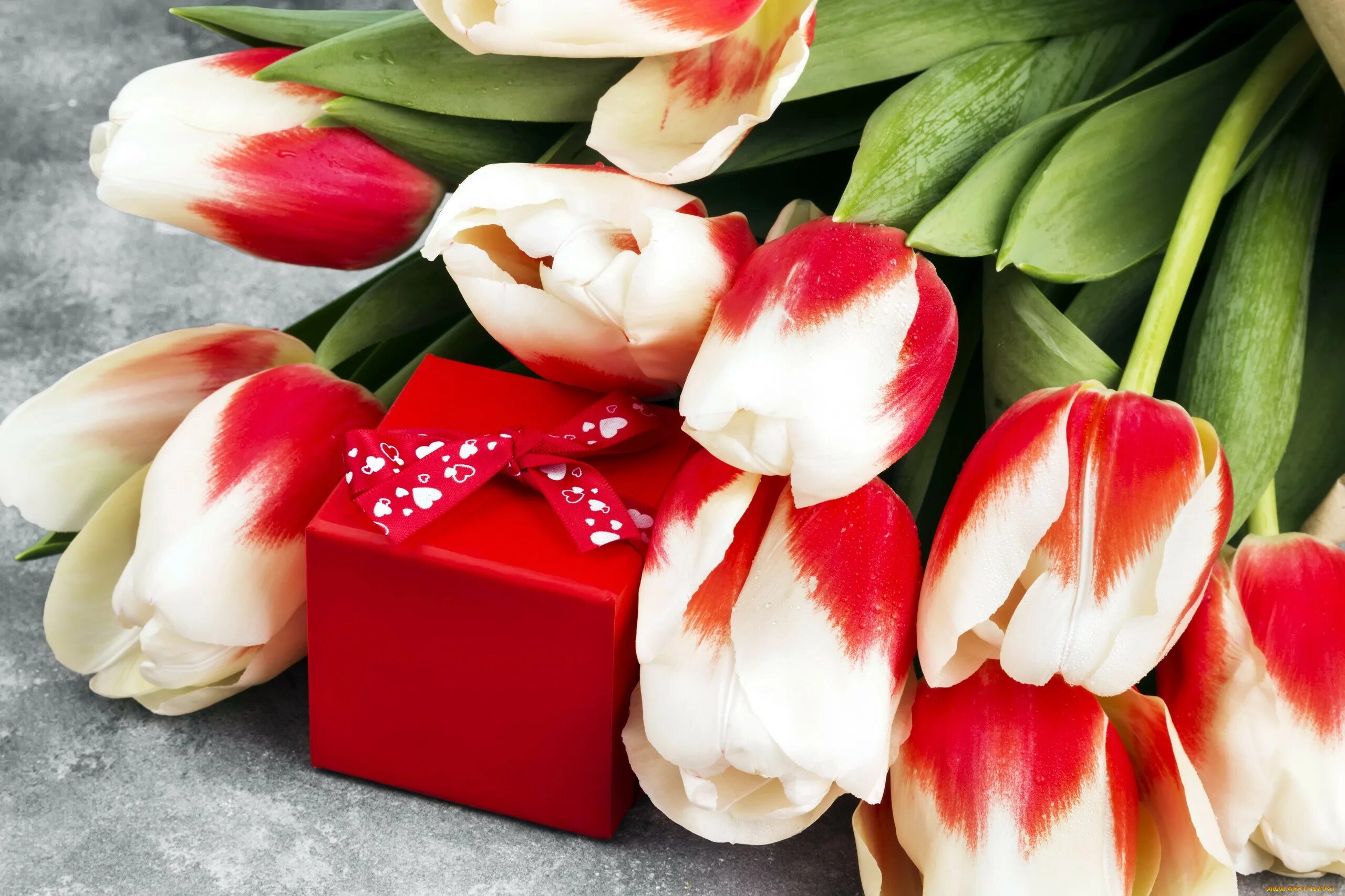 Тюльпаны стильные картинки. Цветы тюльпаны. Красивые тюльпаны. Букет тюльпанов. Цветы в подарок.