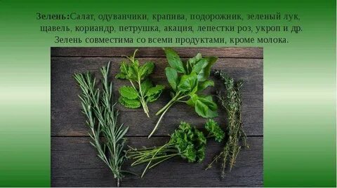 Щавель крапива
