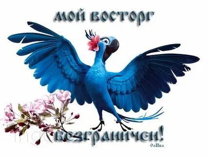 Будете в восторге
