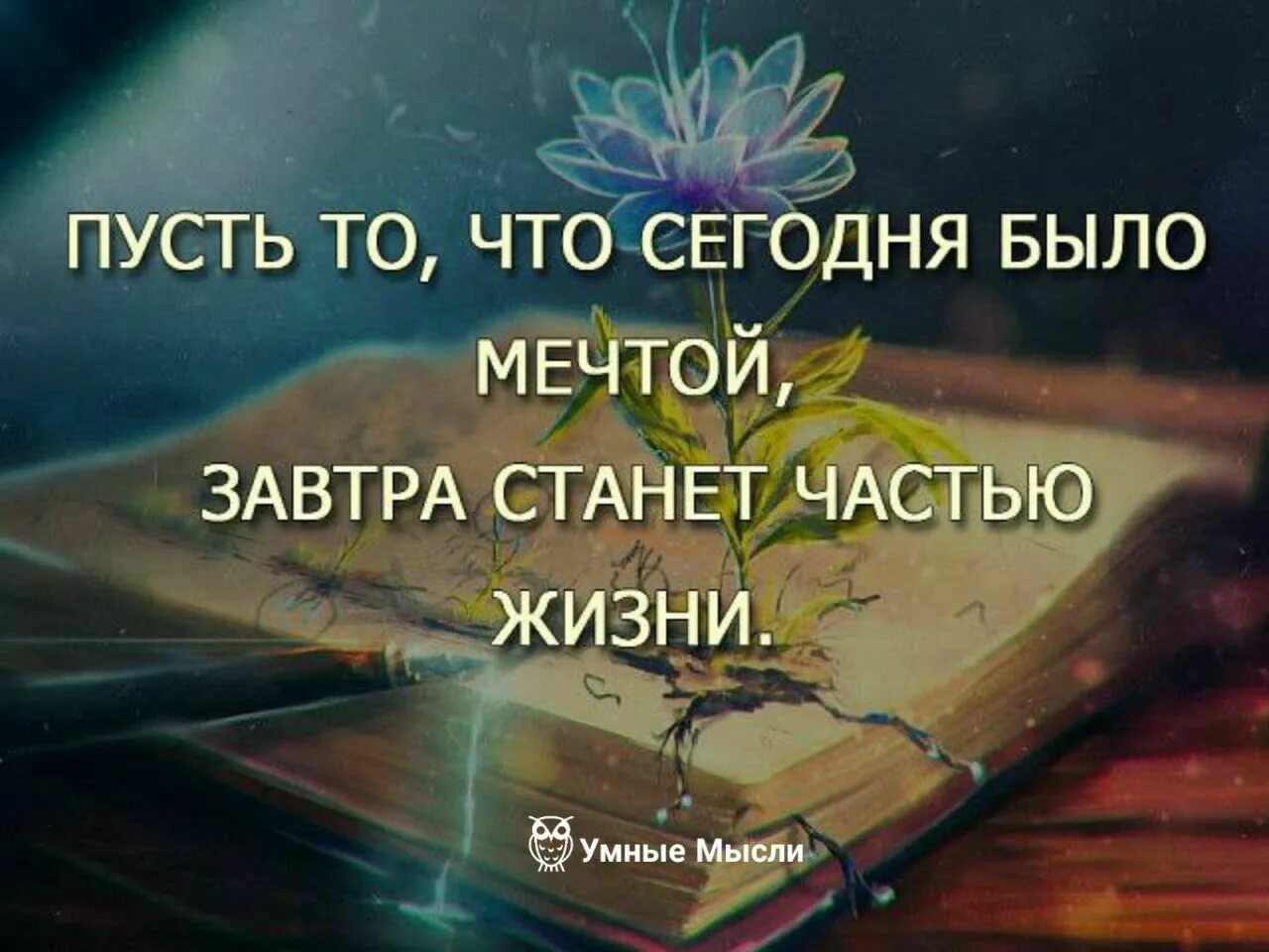 Возможно цитаты. Великие возможности приходят ко всем но многие. цитаты великие возможности приходят ко всем. пусть станет невозможное возможным. возможности приходят.