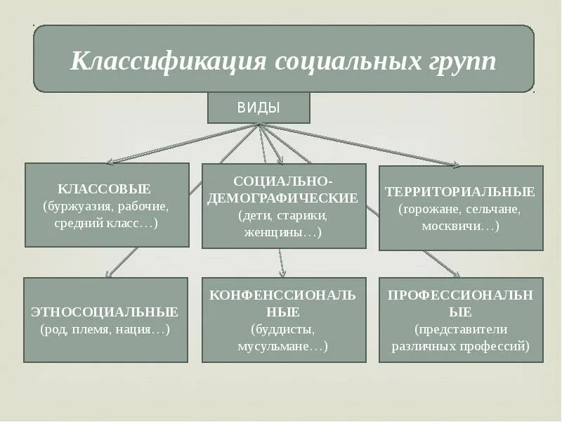 Какие из приведенных примеров социальных