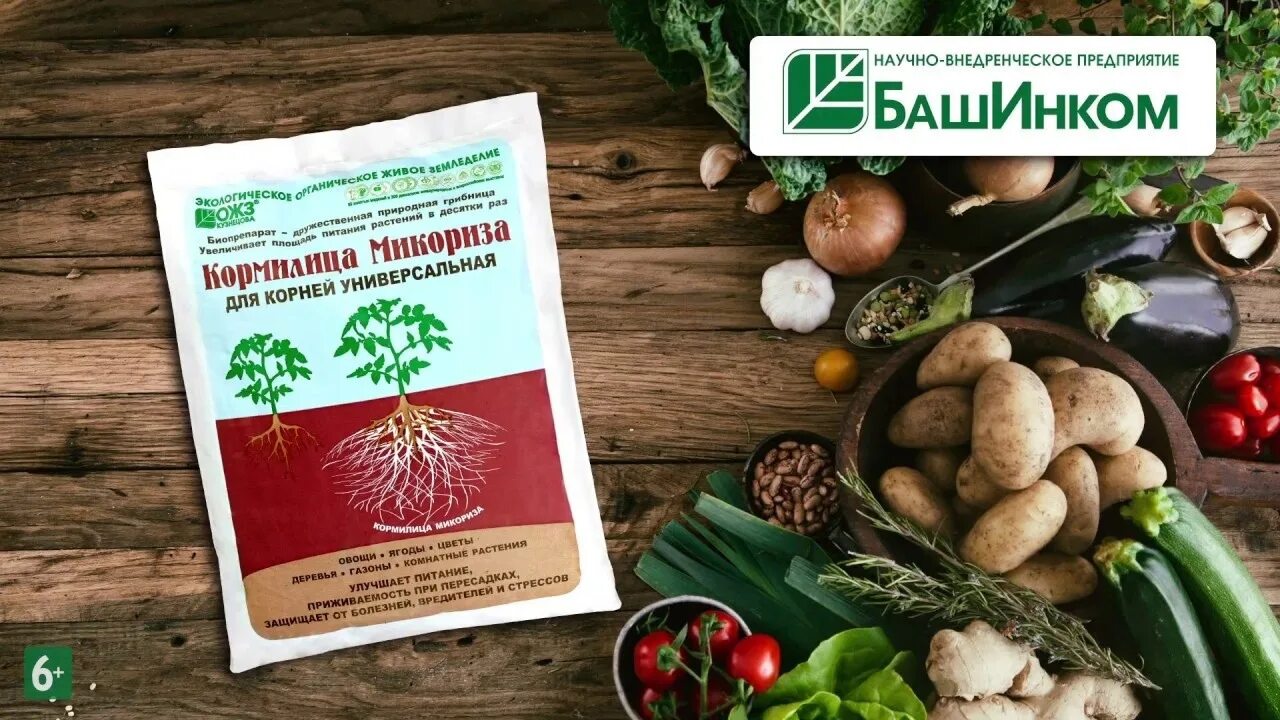 Кормилица микориза как использовать. Кормилица микориза, 30 гр. кормилица микориза башинком 1л. кормилица микориза 1 литр.