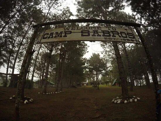 Лагерь Форест парк. Ворота в кемпинг. Кемпинг Форест лайн. Camp чья фирма.