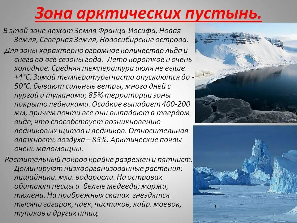 Почему зона арктических пустынь имеет такое название. Описание зоны арктических пустынь. Характеристика Арктики. Особенности природы Арктики. Арктические пустыни доклад.