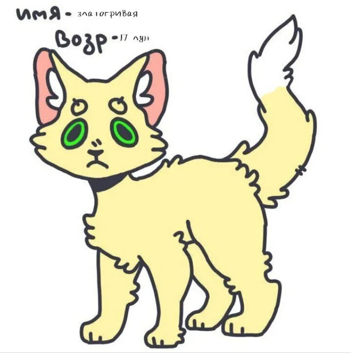 Тест кто ты из котов воителей. Коты воители тесты как к тебе отнесутся. Коты воители тесты трикки. Коты воители тесты. Кто ты из котов воителей трикки тест.