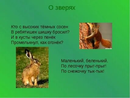 Маленькое беленькое озерко 1 не видать загадка
