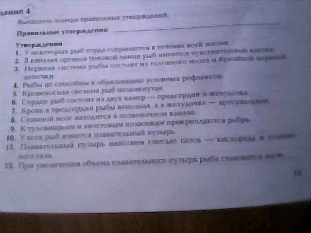 Выберите правильные утверждения биология. Выпишите номера правильных утверждений. Выпишите номера правильных утверждений биология. Выпишите номера правильных утверждений биология 7 класс. Выпишите номера правильных утверждений рыб.