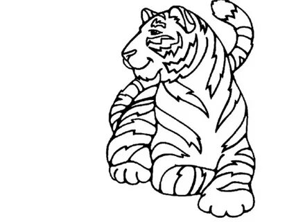 Tiger colour
