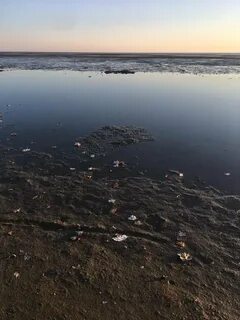 Погибающие море