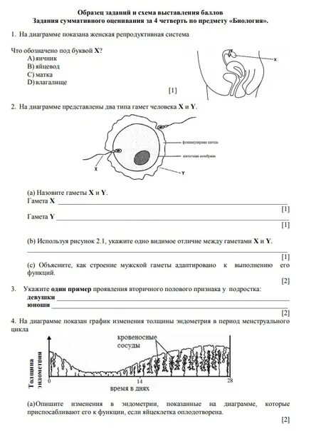 Соч 9 класс биология 4 четверть. Соч по биологии 7 класс 4 четверть с ответами. Соч 9 класс биология 4 четверть ответы. Соч по биологии 7 класс за 3 четверть ответы. Соч по биологии 9