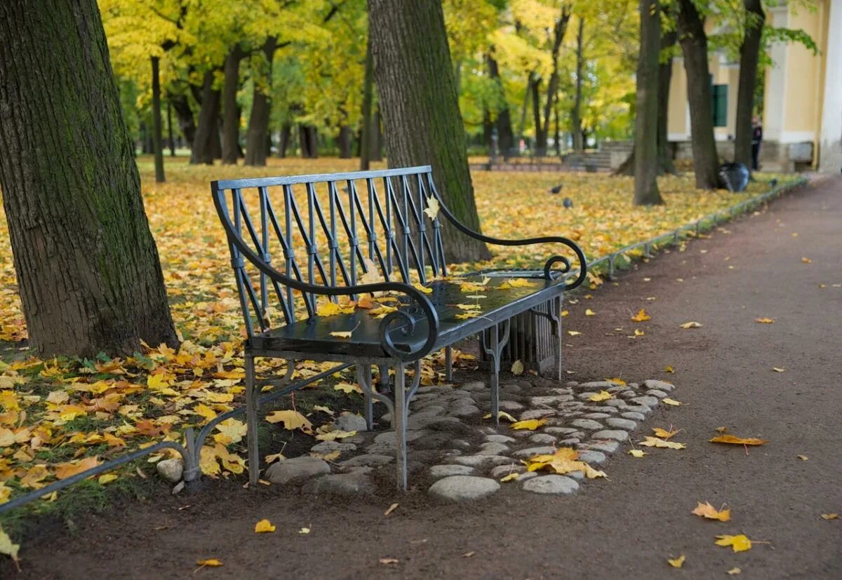 Питерский ангел на скамейке в санкт-петербурге. Скамейка петербург. Парк победы санкт-петербург скамейки. Парк кирова лавочки. Скамейка петербург.