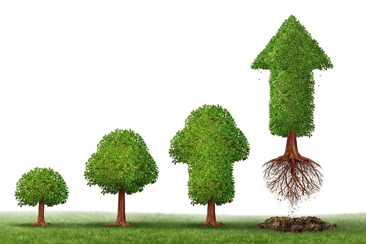 Help i m turning into a tree