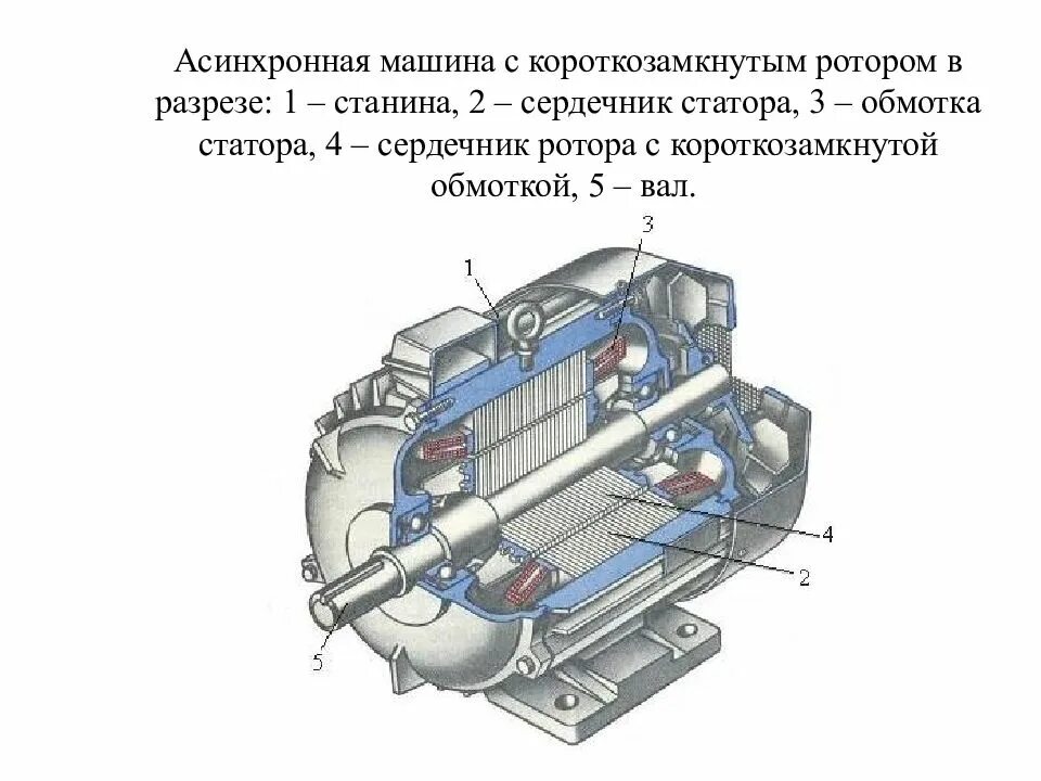 Электрические машины и трансформаторы. Электродвигатель переменного тока ротор асинхронного тока. Асинхронный двигатель с короткозамкнутым ротором. Сердечник статора асинхронного электродвигателя. Асинхронный электродвигатель с короткозамкнутым ротором в разрезе.