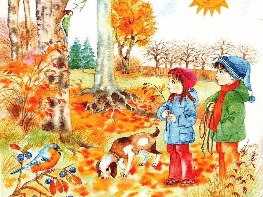 Мы пришли в лес