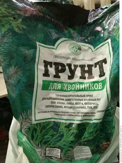 Грунт для хвойных растений