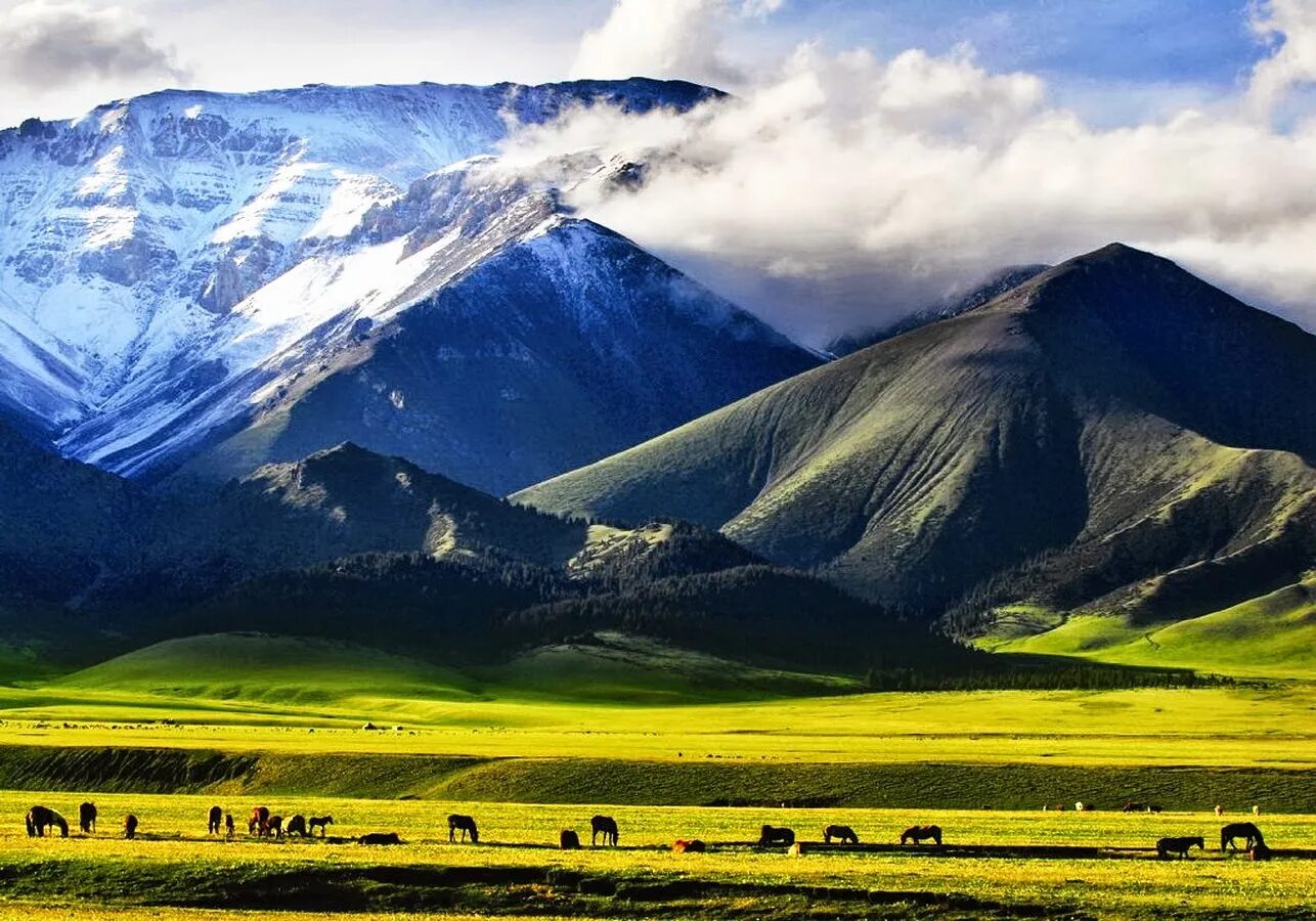 Жер мен аспан арасындағы. Синьцзян горы. Синьцзян-уйгурский горы. Синьцзян — Тянь-Шань. Синьцзян горы уйгуры.