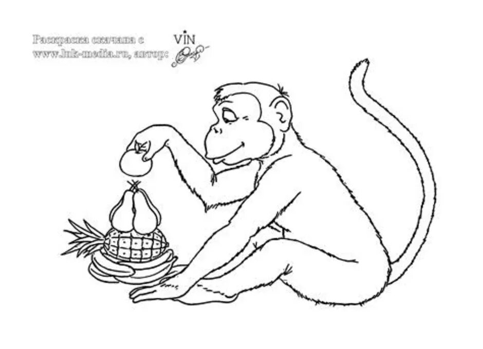 Тест по рассказу про обезьянку с ответами. Иллюс рация к рассказу Житкова "про обезьянку". Раскраска к рассказу про обезьянку Житков 3 класс. Рисунок к рассказу Житкова про обезьяну.