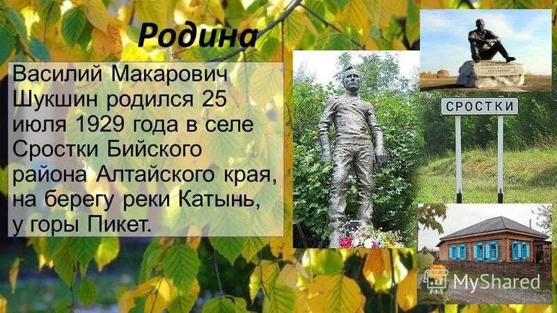 Родина Василия Шукшина село Сростки. Село Сростки, малая Родина в.м.Шукшина. Родина Шукшина село Сростки Алтайского края на карте.