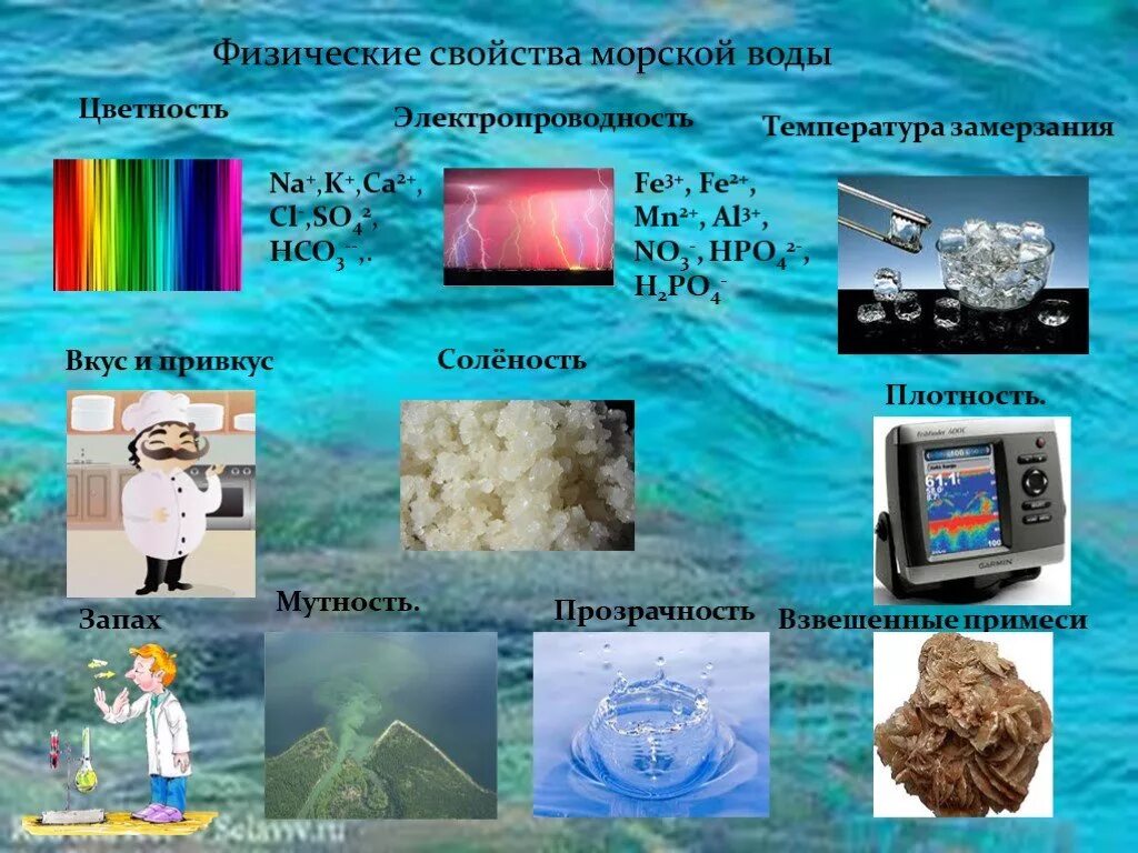 Характеристика северного моря. Основные свойства морей. Связь солености от хлорности. Особенности морей. Основные свойства морей.