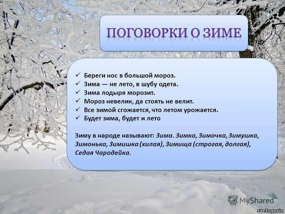 Поговорки о зиме. Зимние пословицы. Поговорки про зиму для детей. Приметы пословицы поговорки о зиме.