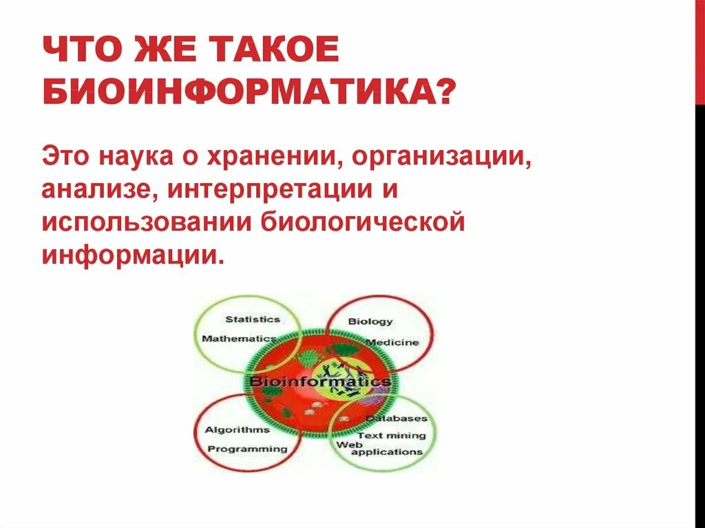 Биоинформатика что это. Биоинформатика что это