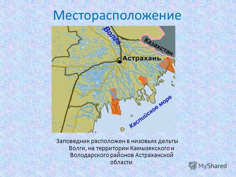 Астраханский заповедник расположение на карте. Астраханский биосферный заповедник местоположение. Астраханский государственный заповедник на карте. Астраханский заповедник на карте россии. Астраханский биосферный заповедник на карте.