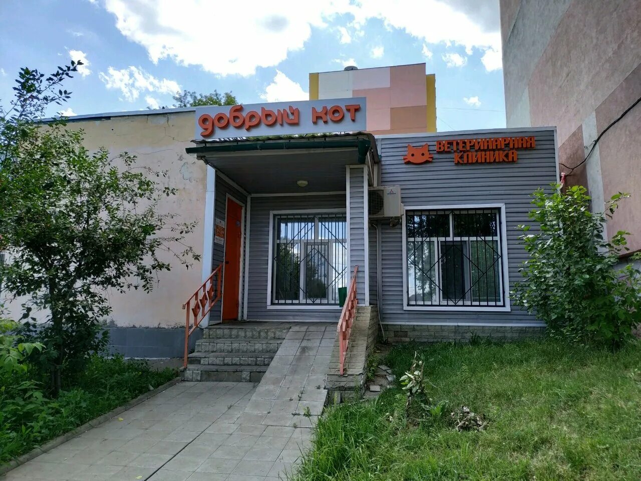 три кота магазин воронеж. добрый кот ветклиника. ветеринарная клиника сельская 5а владивосток. добрый кот ветклиника. ветклиника медведево полевая режим работы.