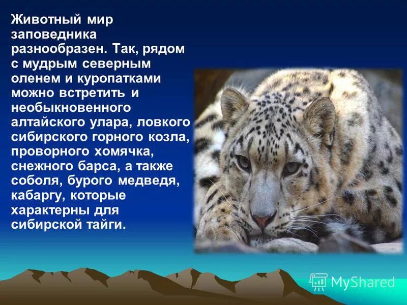 саяно шушенский заповедник доклад